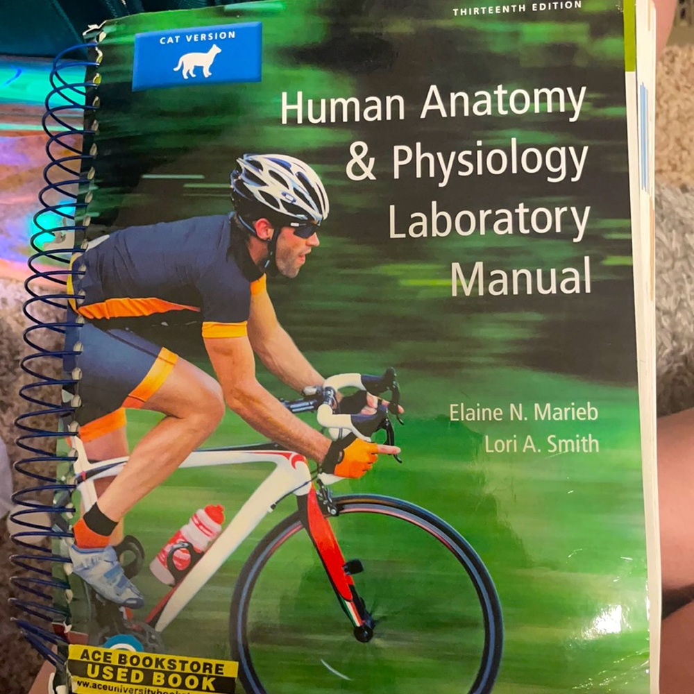 Human anatomy and phys lab manual 13th edition